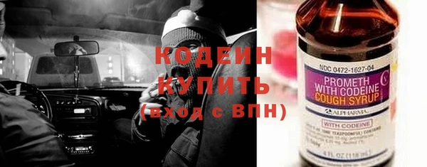 дурь Каменка