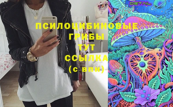 эйфоретик Каменногорск