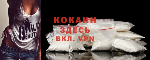 дурь Каменка