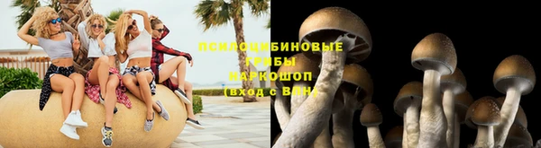 винт Каменск-Шахтинский