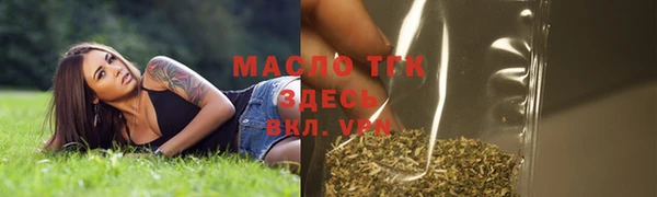 дурь Каменка