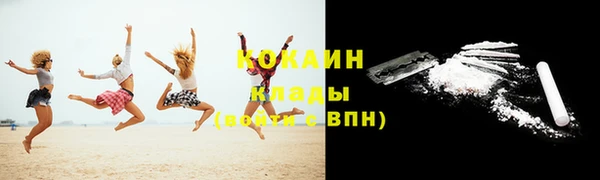 дурь Каменка
