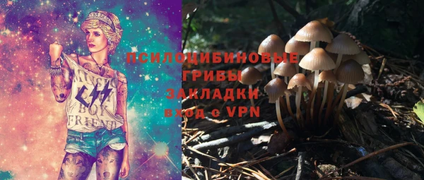 дурь Каменка