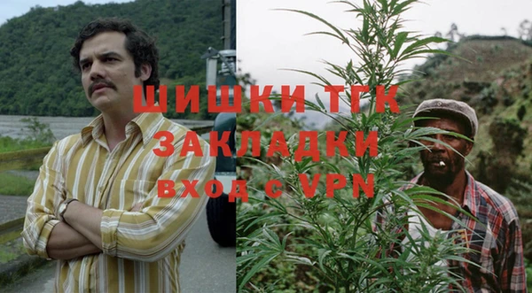 эйфоретик Каменногорск